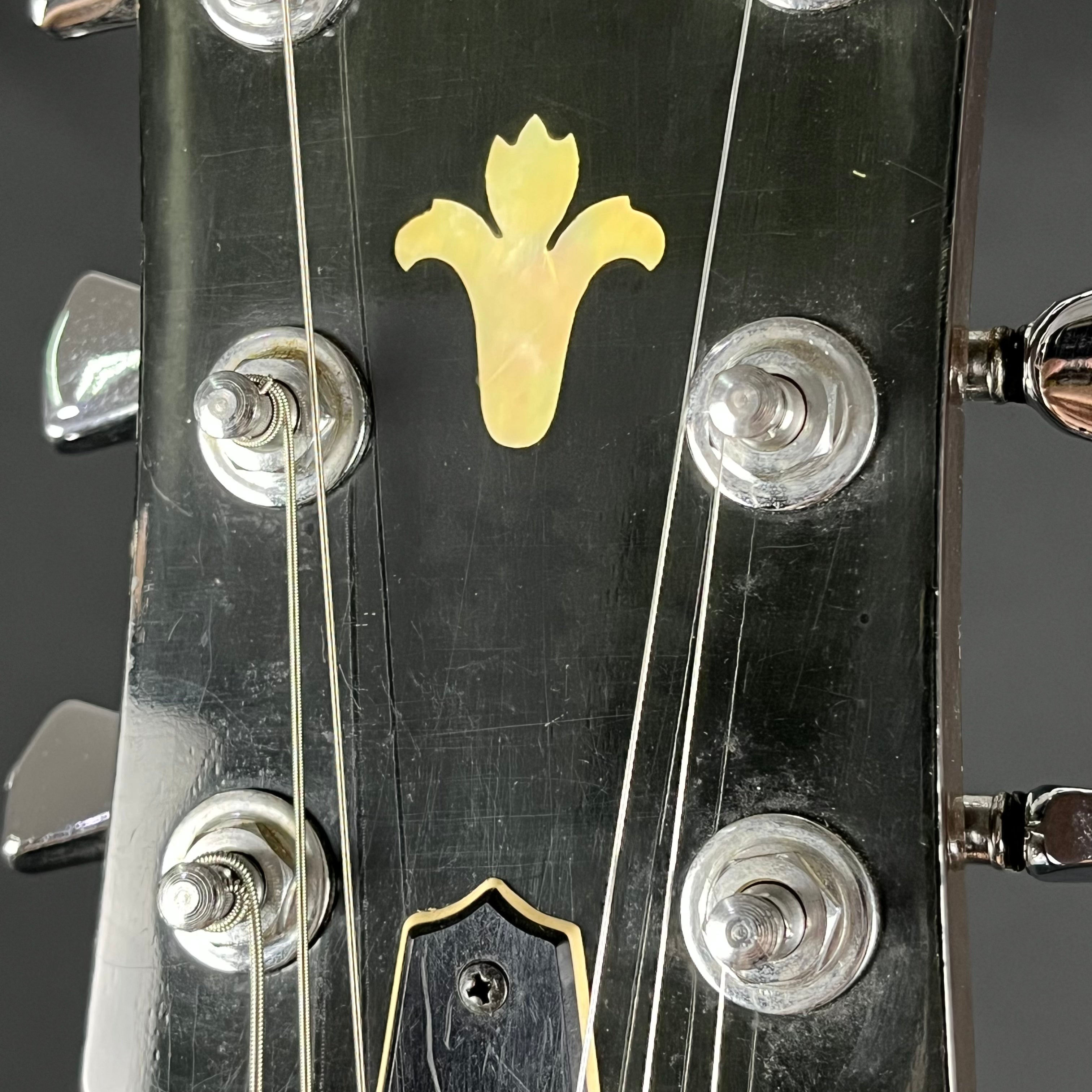 YAMAHA JAPAN SG800
