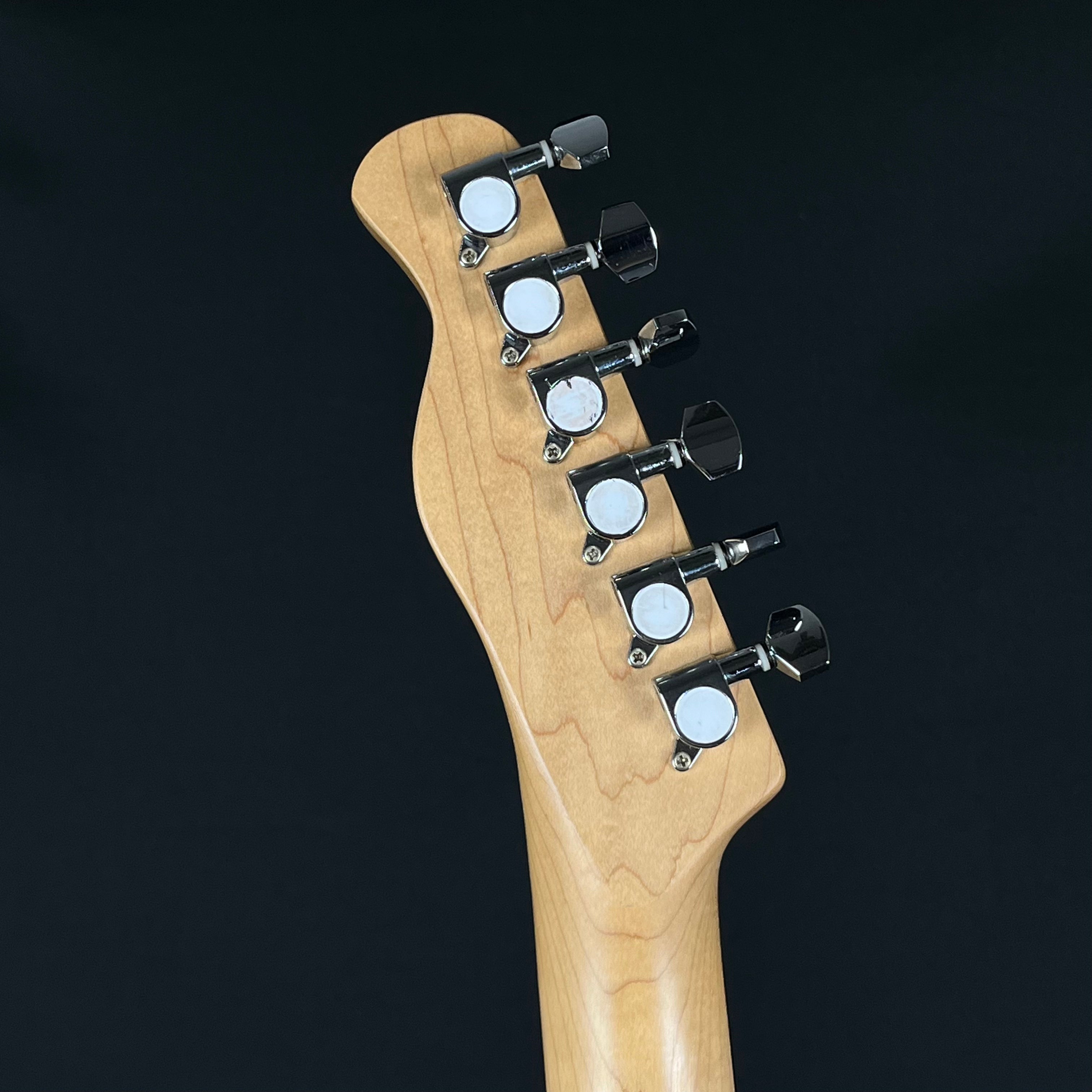 Bacchus Universe Series Telecaster
