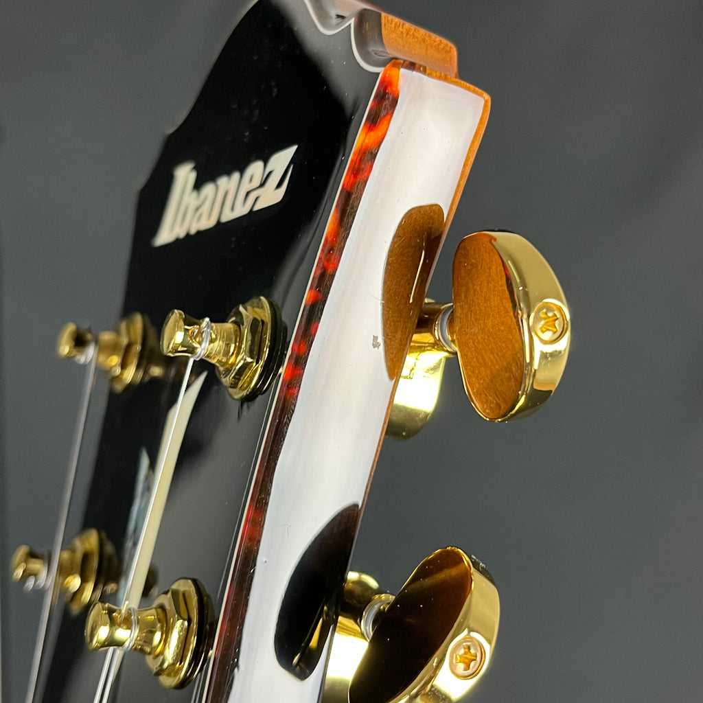 Ibanez AFC71-VLS