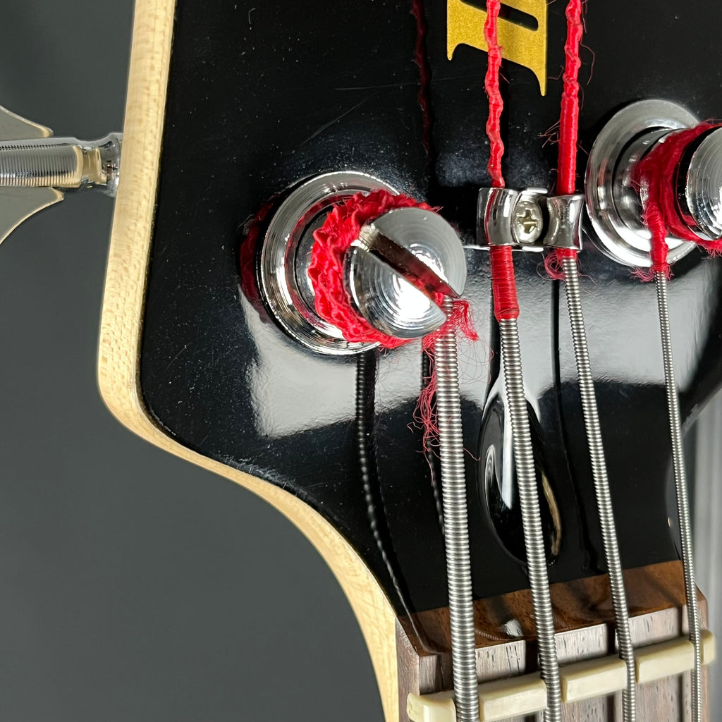 Ibanez TMB100 Bass