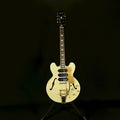 Epiphone Riviera Custom P93 PW