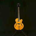 Epiphone Wildkat