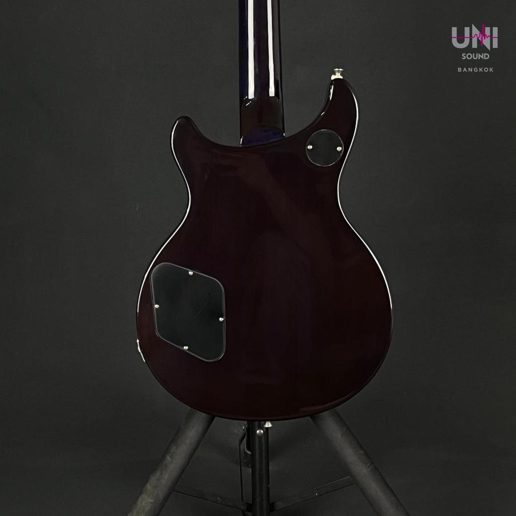 Epiphone Tak Matsumoto DC 2013 - UN-39-6323