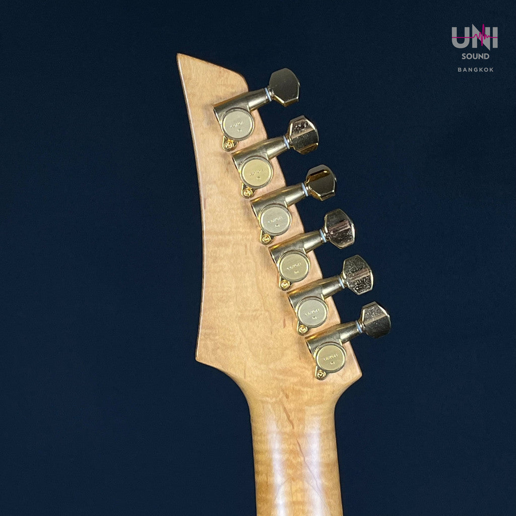 Fernandes FGZ-420 - UN-37-5861