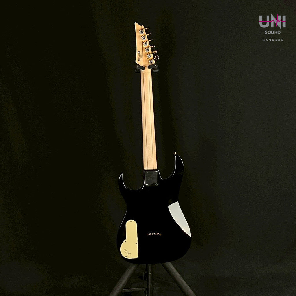 Ibanez PGM80P - UN-25-2196