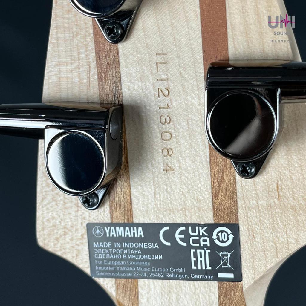 YAMAHA TRBX504 Bass - UN-37-5755