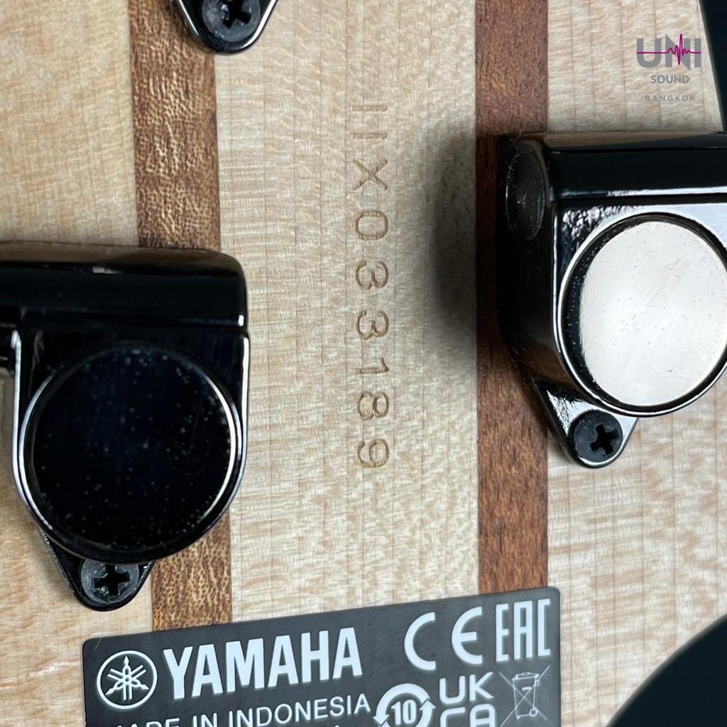 YAMAHA TRBX304 Bass - UN-37-5789