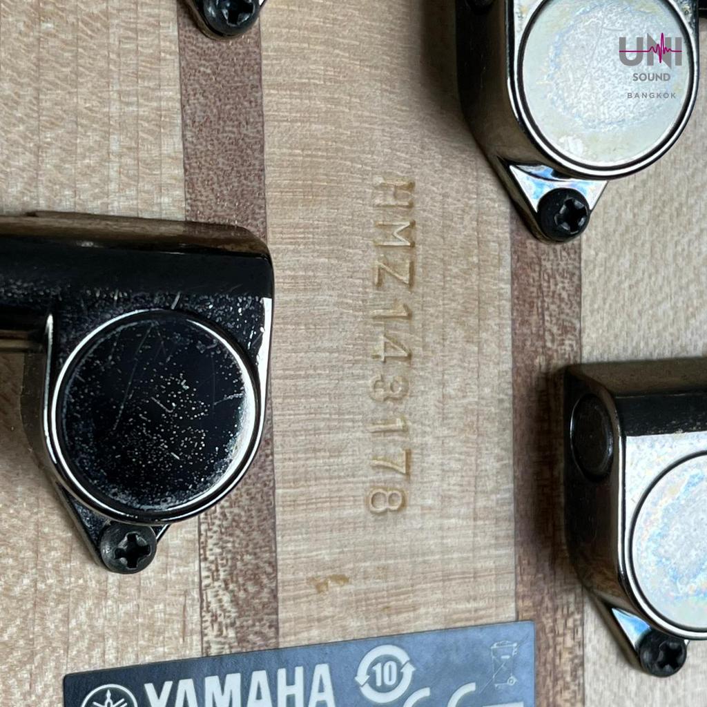 YAMAHA TRBX305 Bass - UN-38-6043