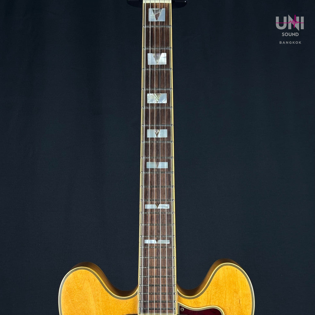 Epiphone Korea SHERATON II - UN-38-6148