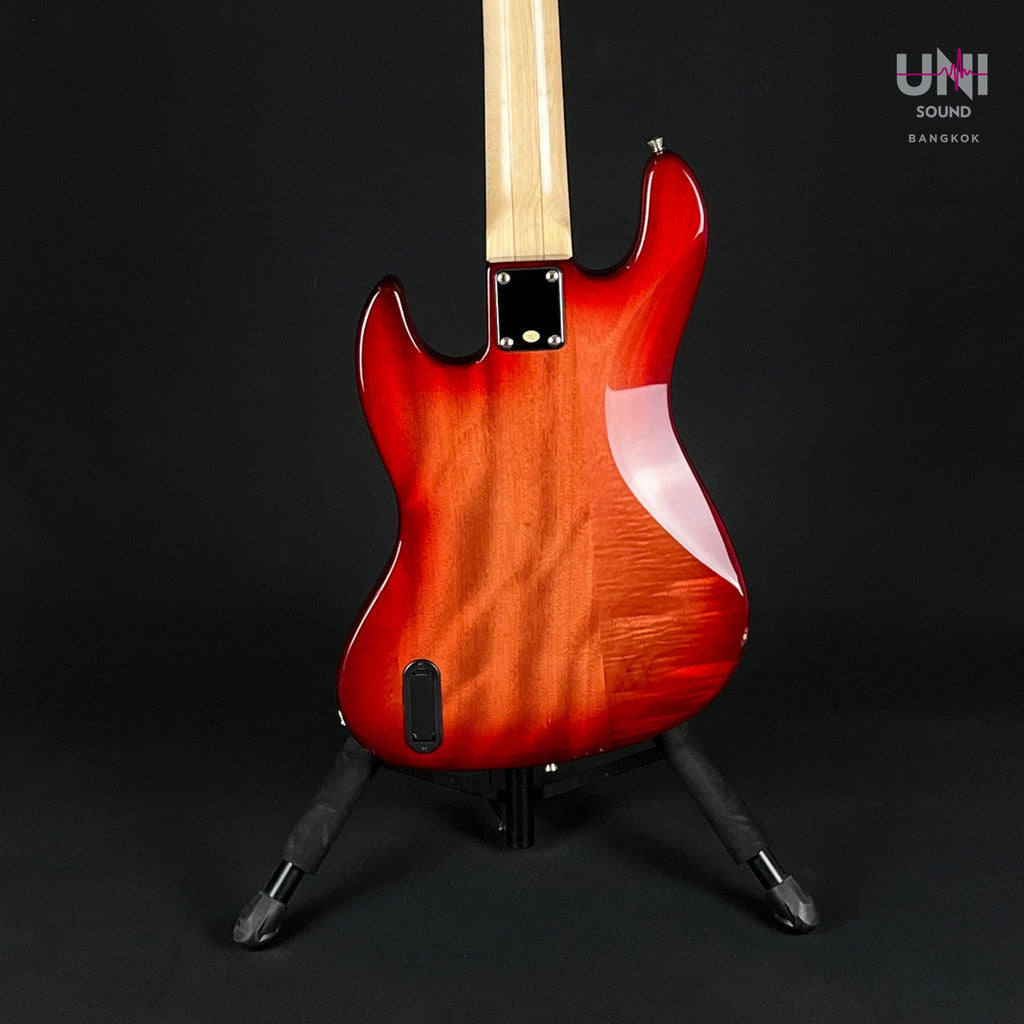 Bacchus WJB5-BP Active - UN-38-6247