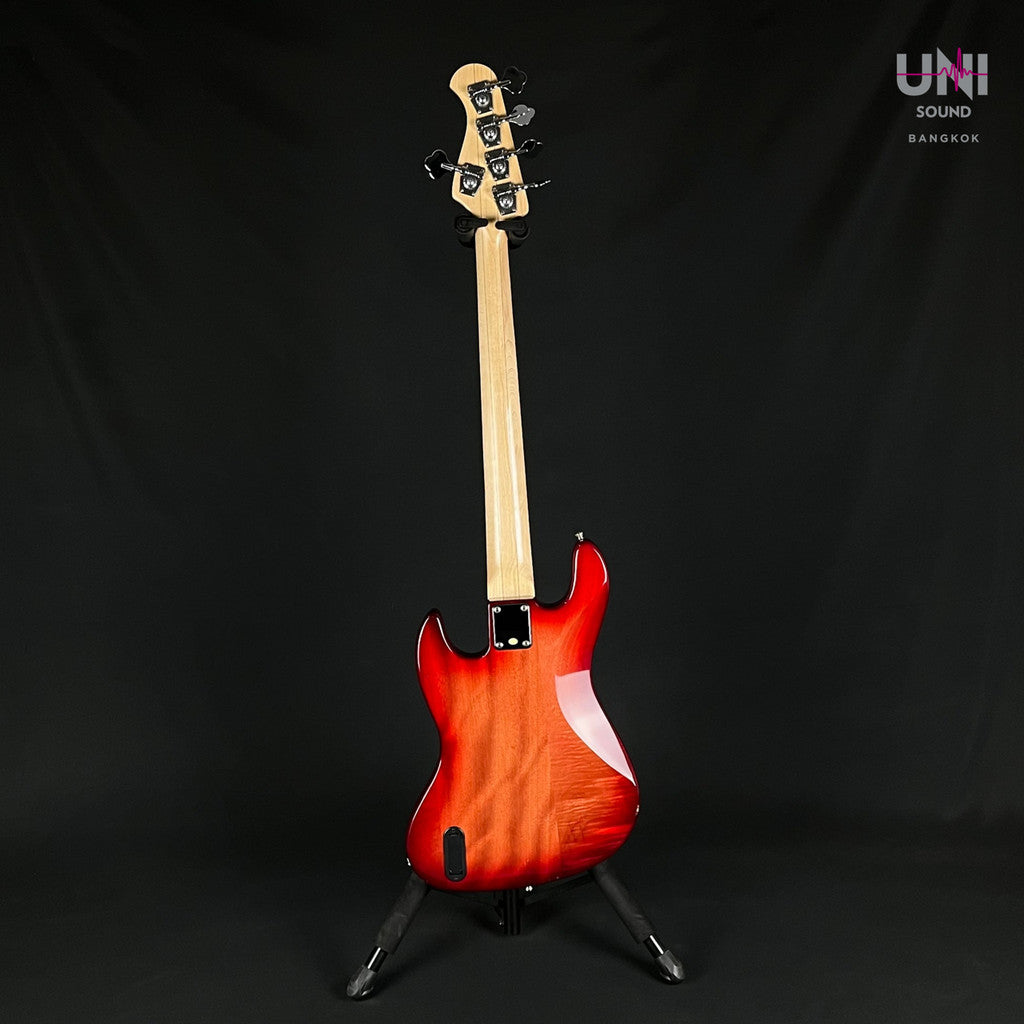 Bacchus WJB5-BP Active - UN-38-6247