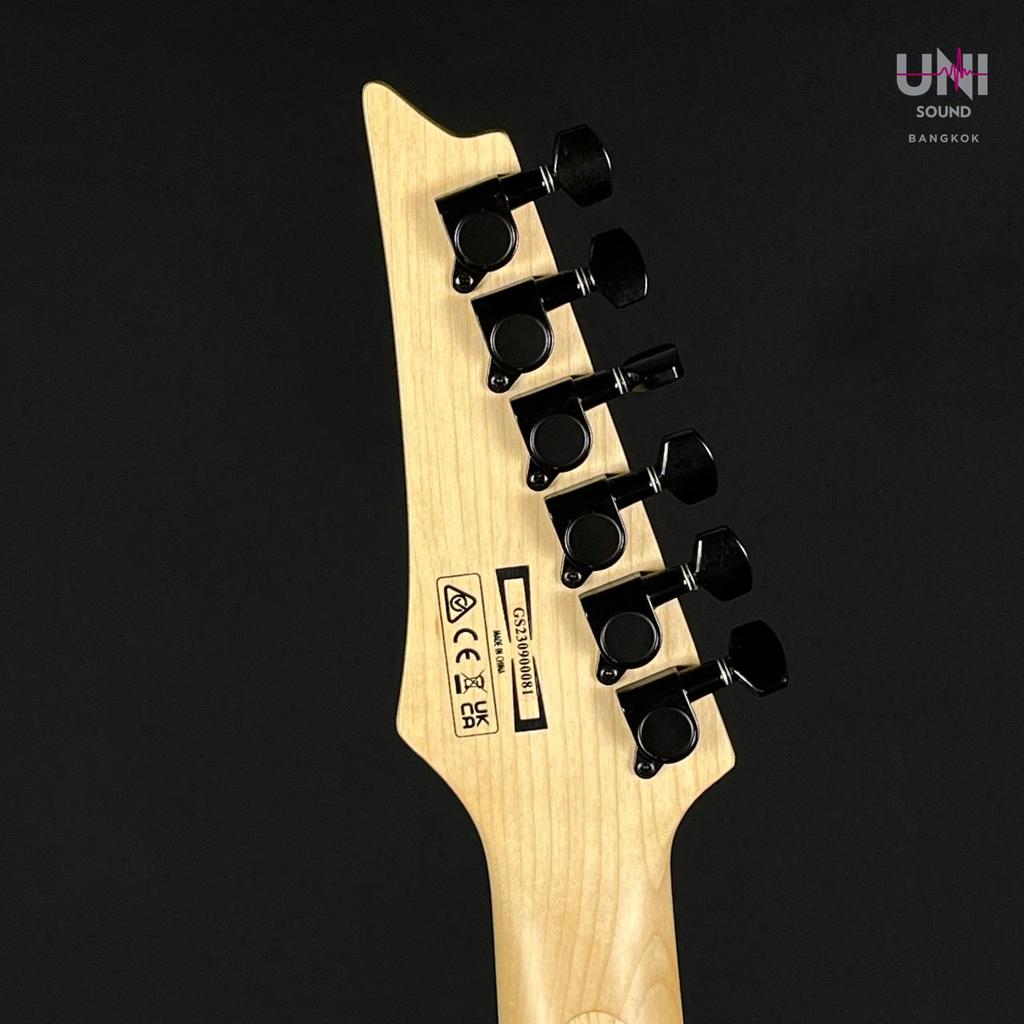 Ibanez RGV250 - UN-38-5989
