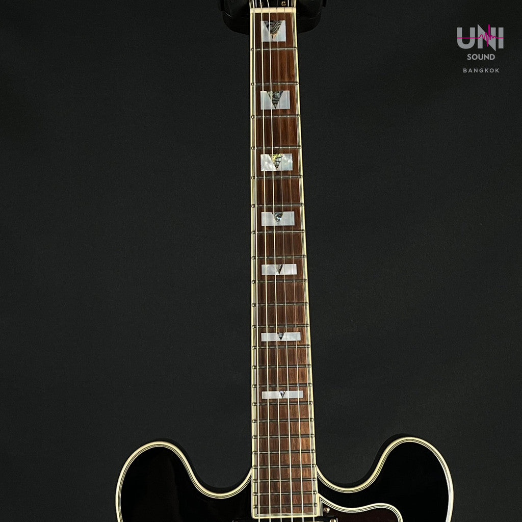 Epiphone SHERATON Pro II 2022 - UN-36-5207