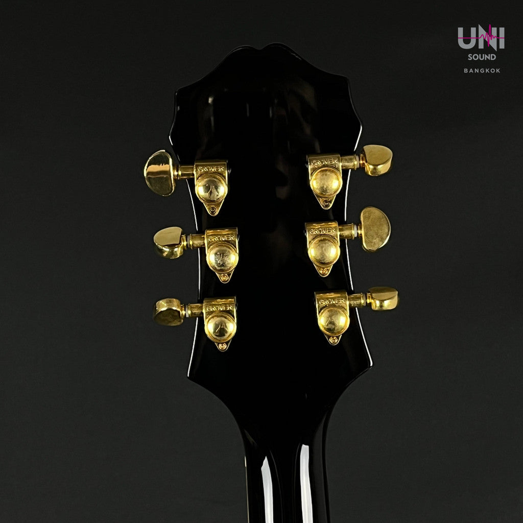Epiphone SHERATON Pro II 2022 - UN-36-5207